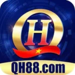 Qh88