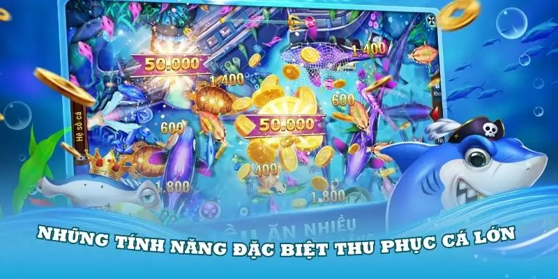 Những tính năng đặc biệt thu phục cá lớn